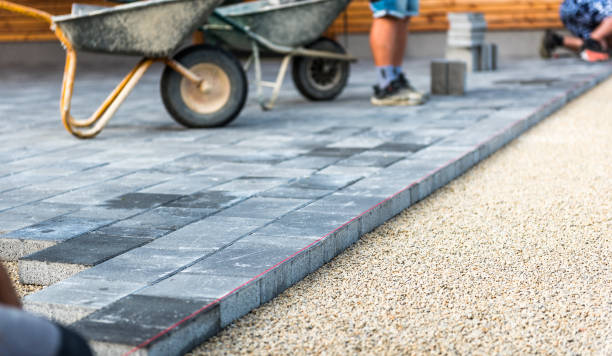 Why Choose Us For All Your Driveway Paving Needs in Carrizo Springs, TX?